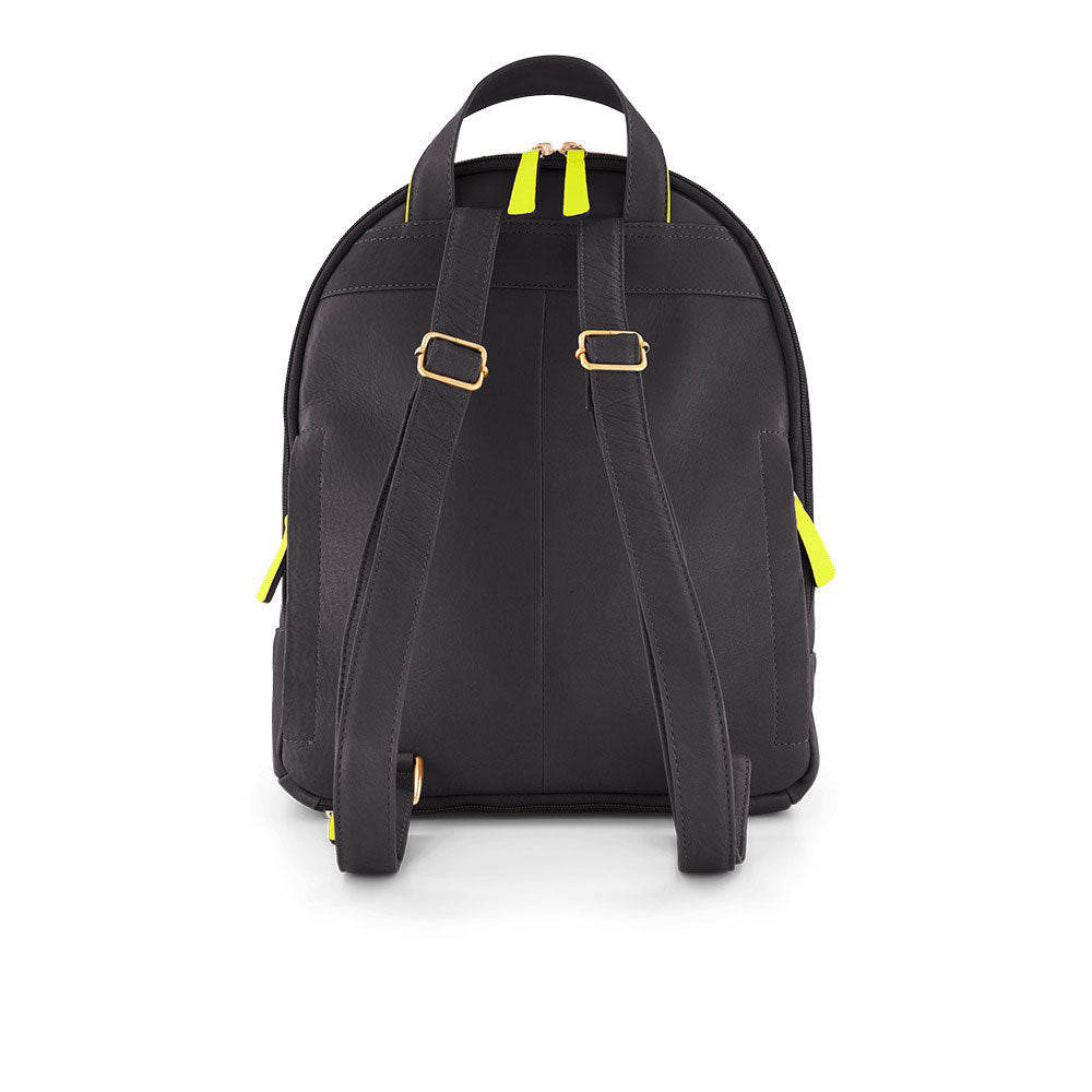 Morral Turim